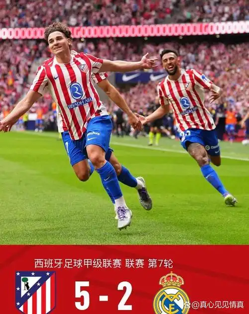 天天射网